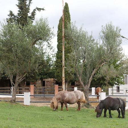 Masia Can Rovira - Esc1852 San Lorenzo de Hortóns Exteriér fotografie