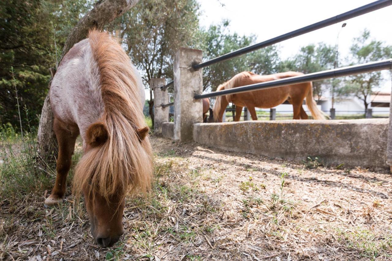Masia Can Rovira - Esc1852 San Lorenzo de Hortóns Exteriér fotografie