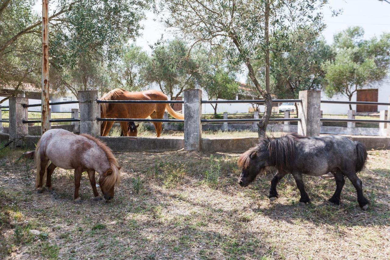 Masia Can Rovira - Esc1852 San Lorenzo de Hortóns Exteriér fotografie