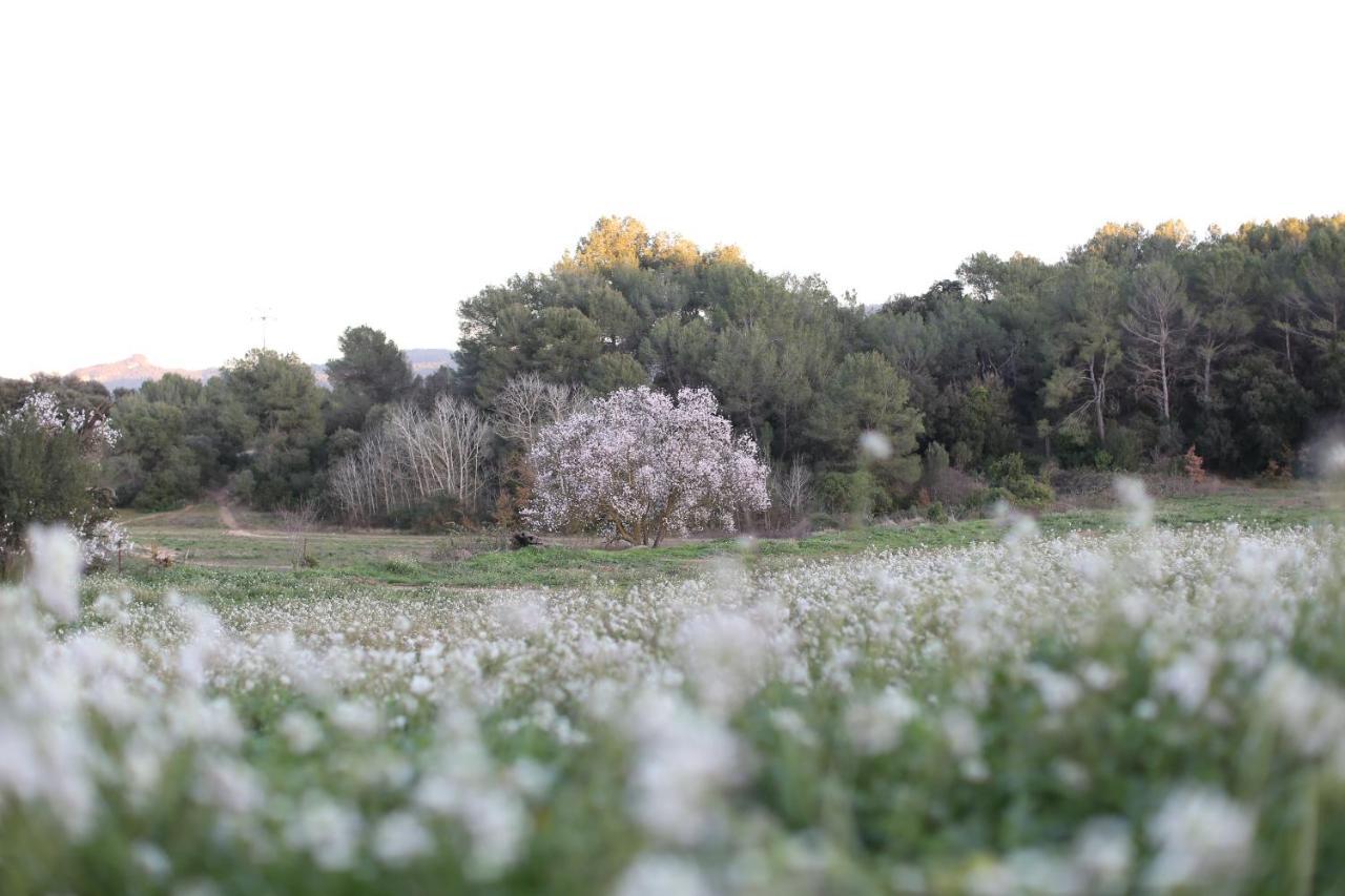 Masia Can Rovira - Esc1852 San Lorenzo de Hortóns Exteriér fotografie