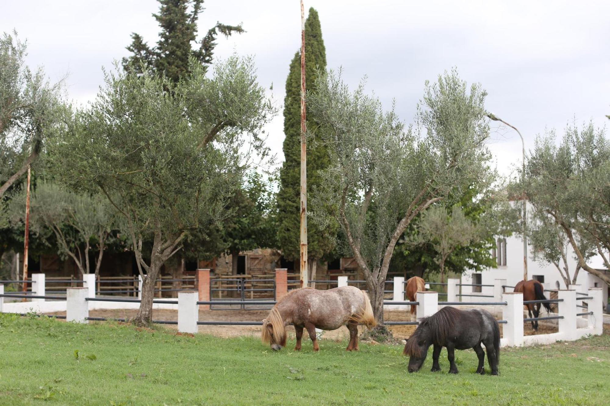 Masia Can Rovira - Esc1852 San Lorenzo de Hortóns Exteriér fotografie